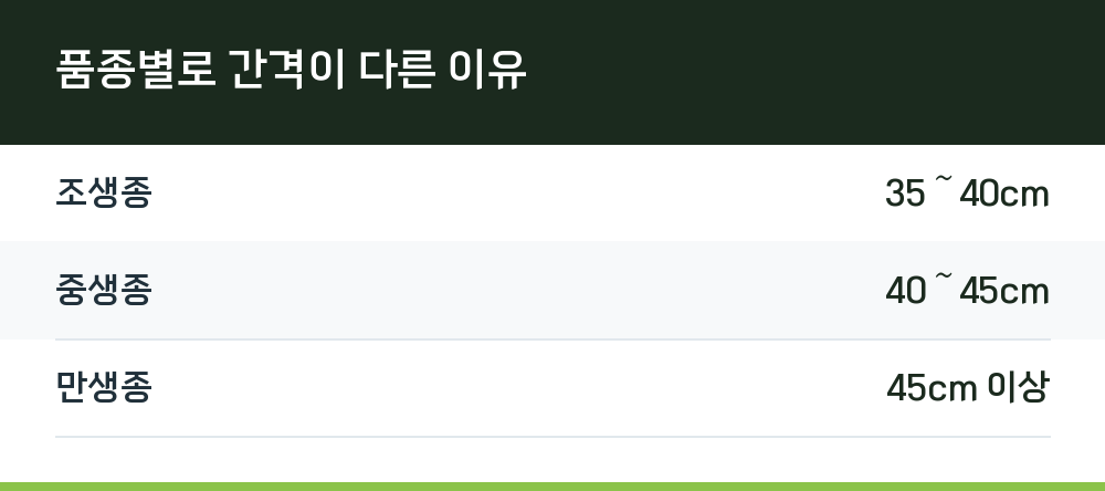 품종별로 간격이 다른 이유