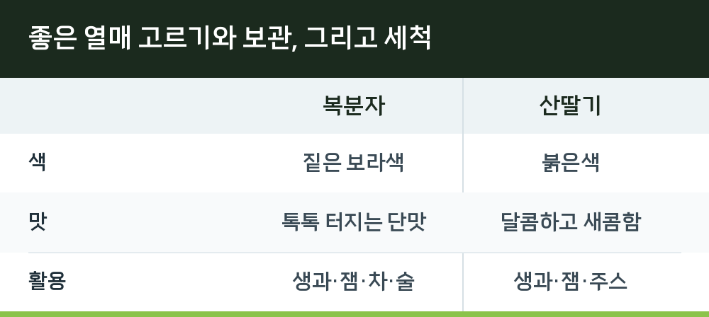 좋은 열매 고르기와 보관, 그리고 세척