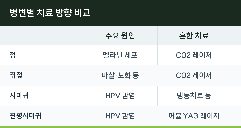 병변별 치료 방향 비교
