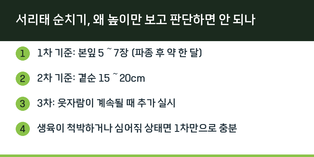 서리태 순치기, 왜 높이만 보고 판단하면 안 되나