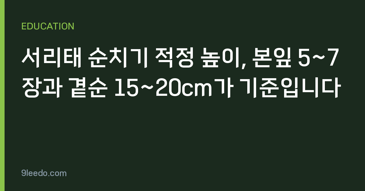 서리태 순치기 적정 높이, 본잎 5~7장과 곁순 15~20cm가 기준입니다