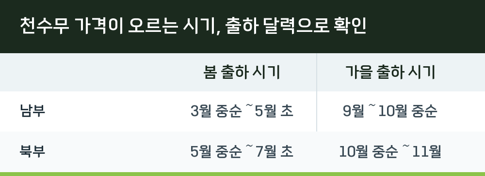 천수무 가격이 오르는 시기, 출하 달력으로 확인