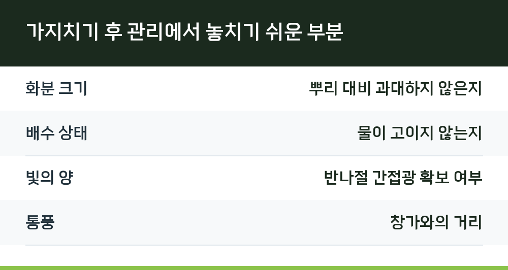 가지치기 후 관리에서 놓치기 쉬운 부분