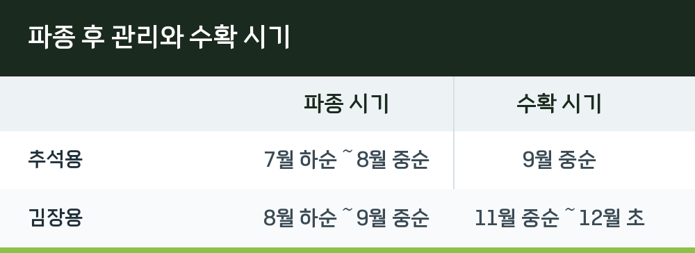 파종 후 관리와 수확 시기