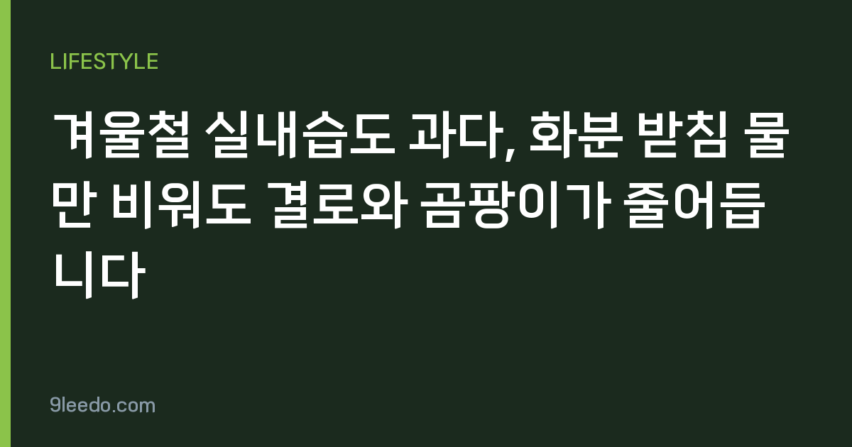 겨울철 실내습도 과다, 화분 받침 물만 비워도 결로와 곰팡이가 줄어듭니다