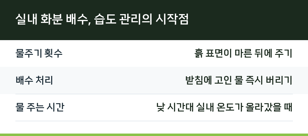 실내 화분 배수, 습도 관리의 시작점