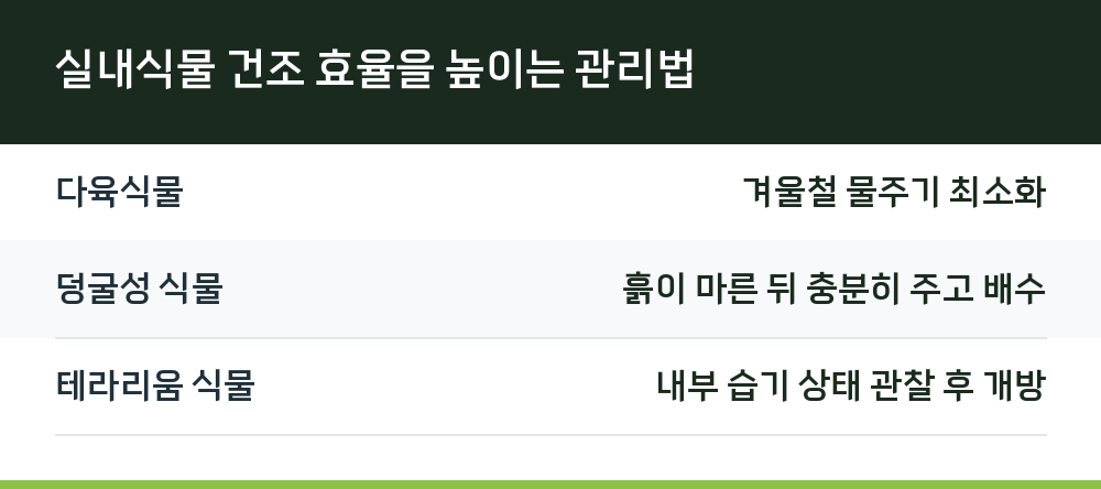 실내식물 건조 효율을 높이는 관리법
