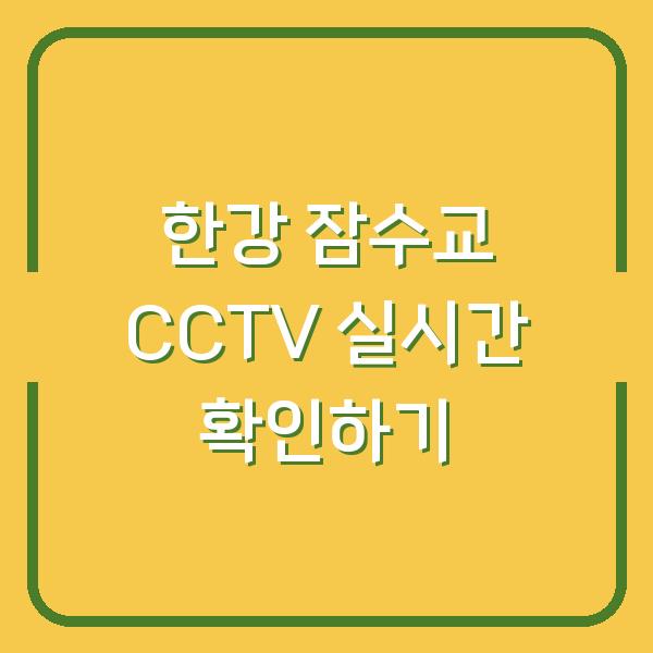 한강 잠수교 CCTV 실시간 확인하기