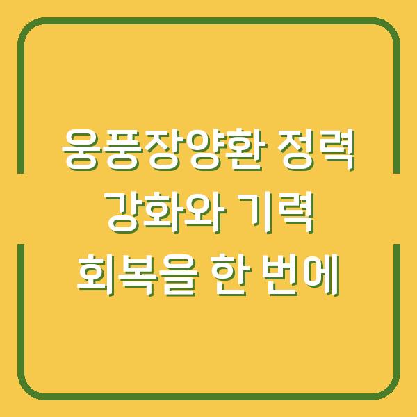 웅풍장양환 정력 강화와 기력 회복을 한 번에