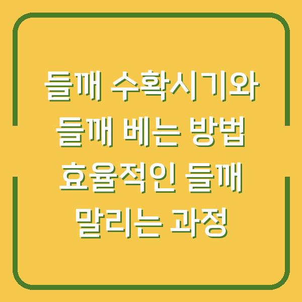 들깨 수확시기와 들깨 베는 방법 효율적인 들깨 말리는 과정