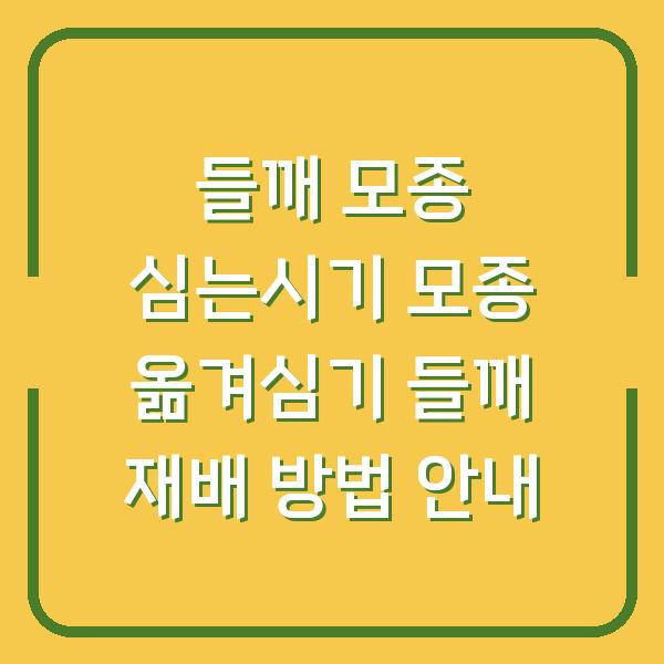 들깨 모종 심는시기 모종 옮겨심기 들깨 재배 방법 안내