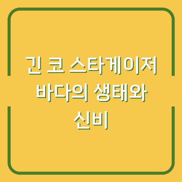 긴 코 스타게이저 바다의 생태와 신비