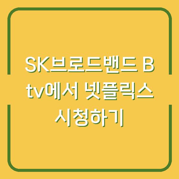SK브로드밴드 B tv에서 넷플릭스 시청하기
