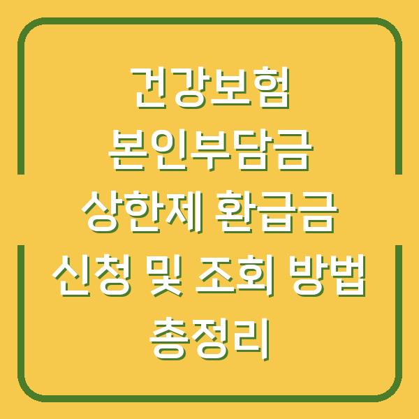 건강보험 본인부담금 상한제 환급금 신청 및 조회 방법 총정리