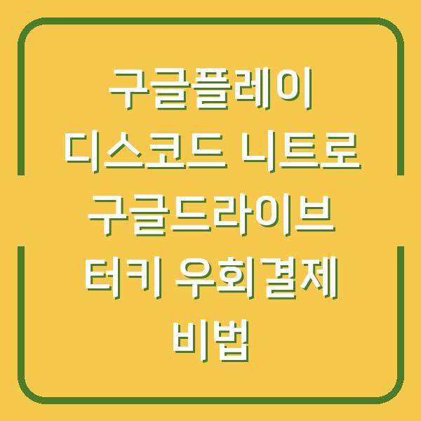 구글플레이 디스코드 니트로 구글드라이브 터키 우회결제 비법