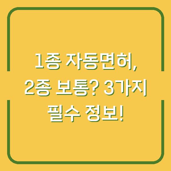 1종 자동면허, 2종 보통? 3가지 필수 정보!