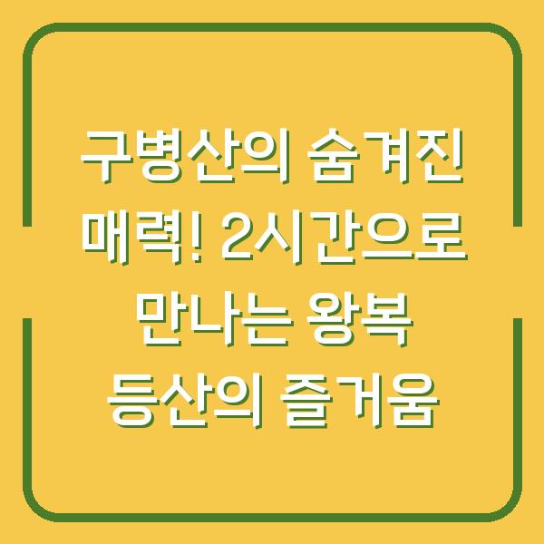 구병산의 숨겨진 매력! 2시간으로 만나는 왕복 등산의 즐거움