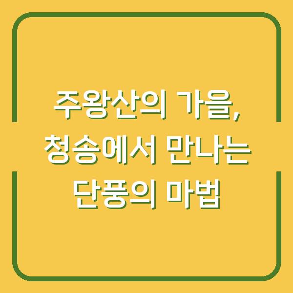 주왕산의 가을, 청송에서 만나는 단풍의 마법