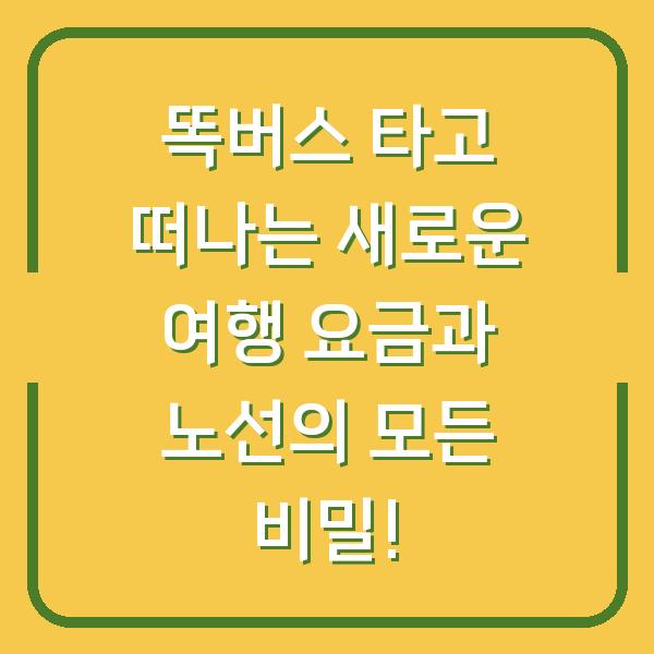 똑버스 타고 떠나는 새로운 여행 요금과 노선의 모든 비밀!