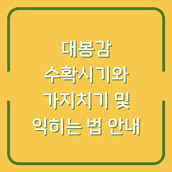 대봉감 수확시기와 가지치기 및 익히는 법 안내