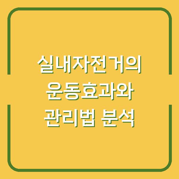 실내자전거의 운동효과와 관리법 분석