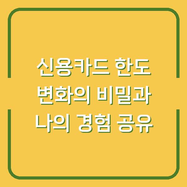 신용카드 한도 변화의 비밀과 나의 경험 공유