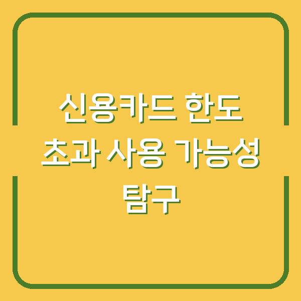 신용카드 한도 초과 사용 가능성 탐구