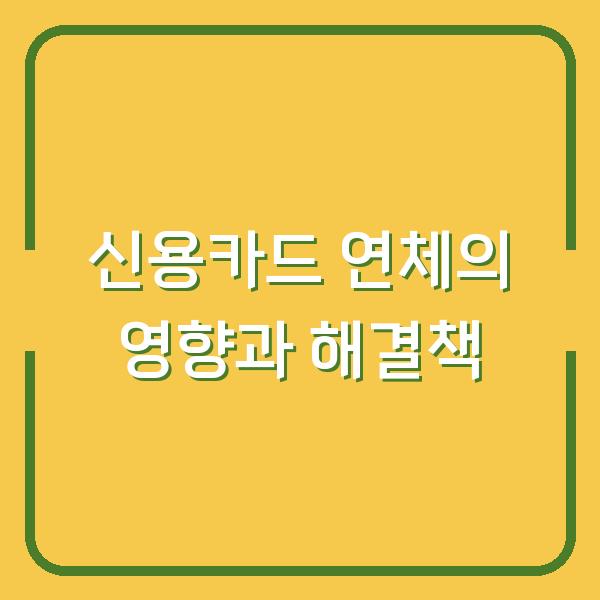 신용카드 연체의 영향과 해결책