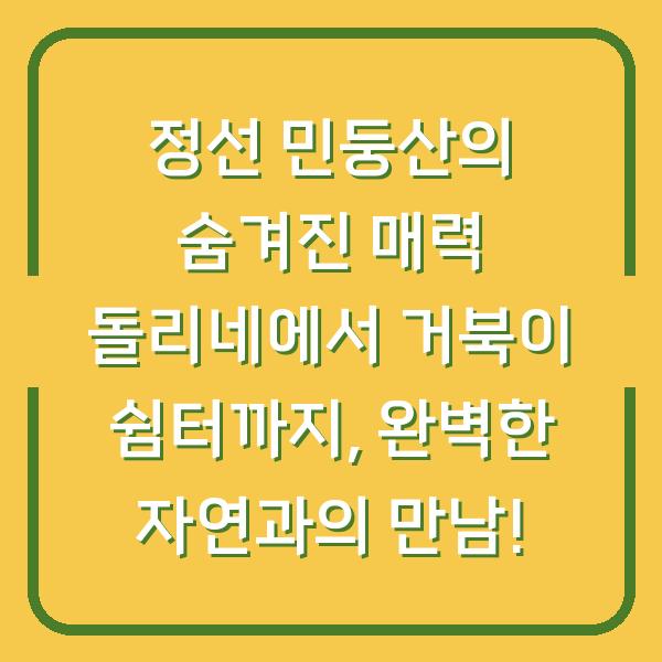 정선 민둥산의 숨겨진 매력 돌리네에서 거북이 쉼터까지, 완벽한 자연과의 만남!