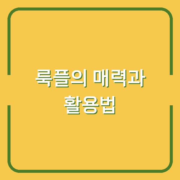 룩플의 매력과 활용법