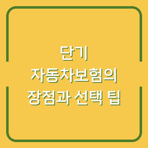 단기 자동차보험의 장점과 선택 팁