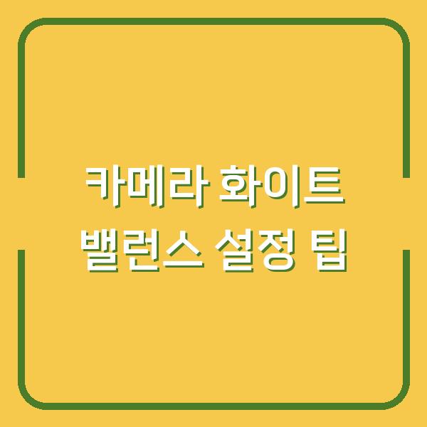 카메라 화이트 밸런스 설정 팁