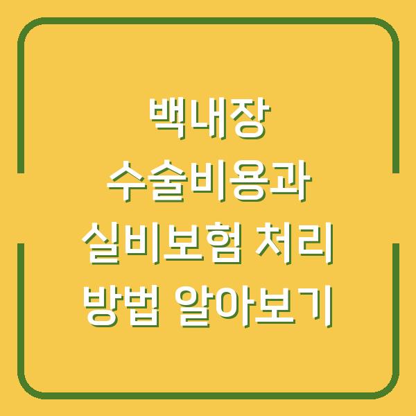 백내장 수술비용과 실비보험 처리 방법 알아보기