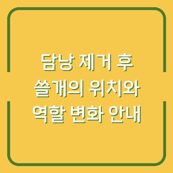 담낭 제거 후 쓸개의 위치와 역할 변화 안내