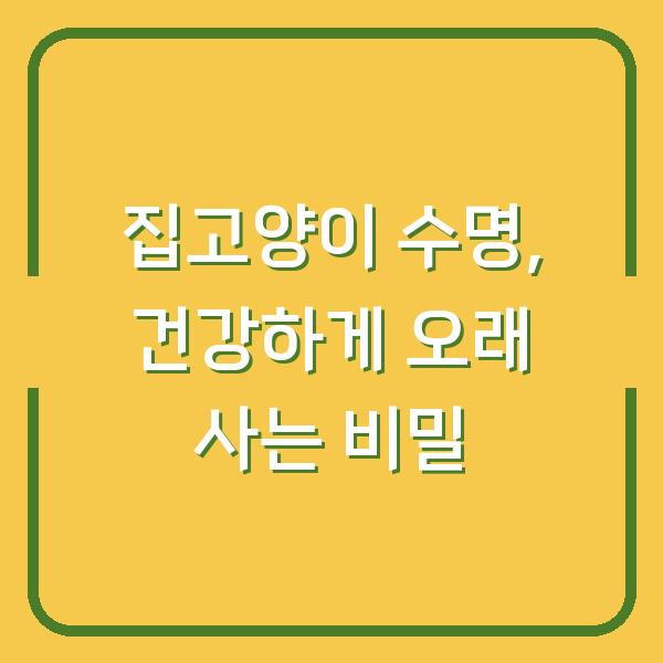 집고양이 수명, 건강하게 오래 사는 비밀