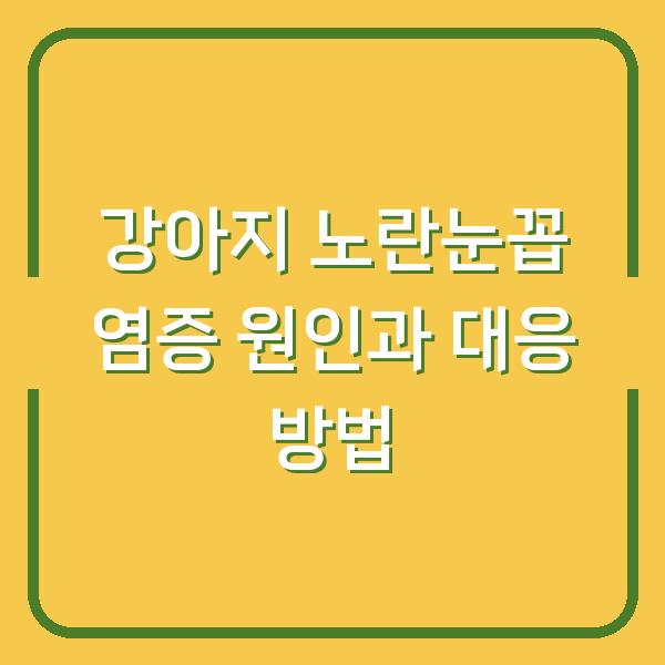 강아지 노란눈꼽 염증 원인과 대응 방법