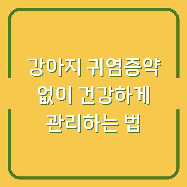강아지 귀염증약 없이 건강하게 관리하는 법