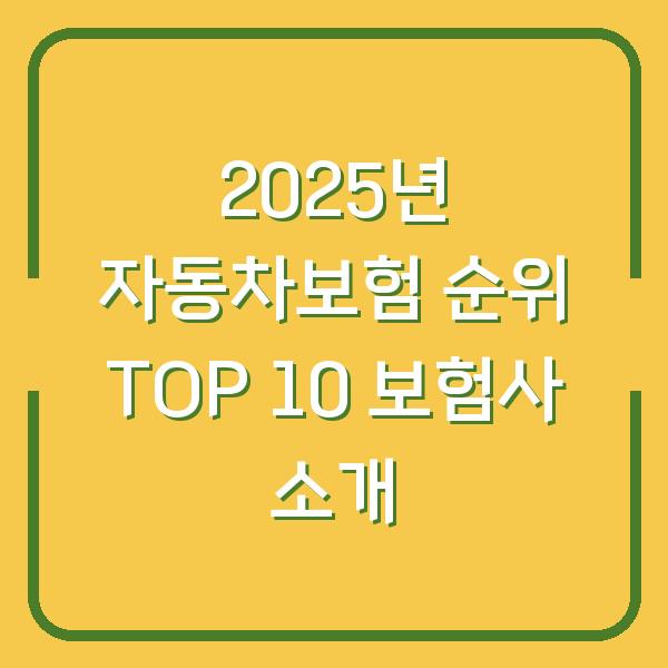 2025년 자동차보험 순위 TOP 10 보험사 소개