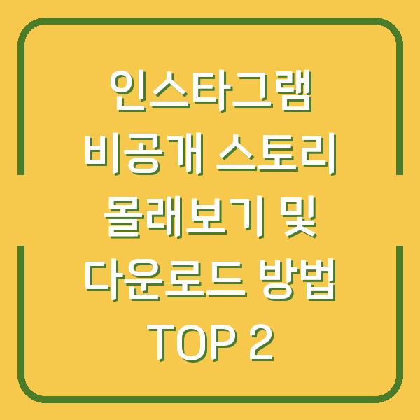 인스타그램 비공개 스토리 몰래보기 및 다운로드 방법 TOP 2