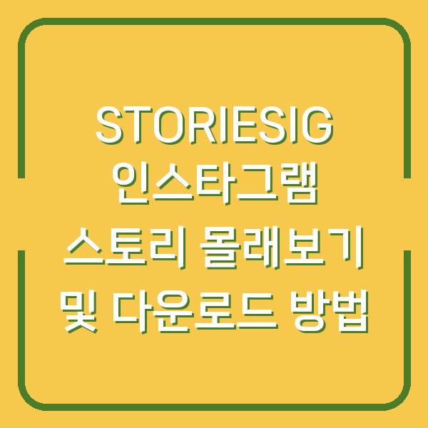 STORIESIG 인스타그램 스토리 몰래보기 및 다운로드 방법