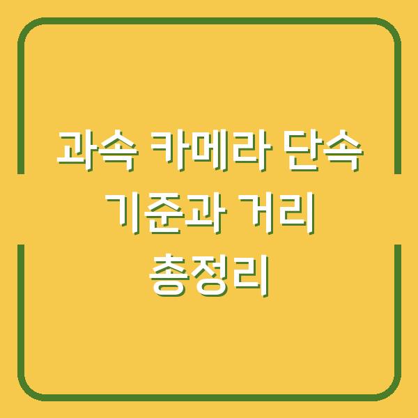 과속 카메라 단속 기준과 거리 총정리
