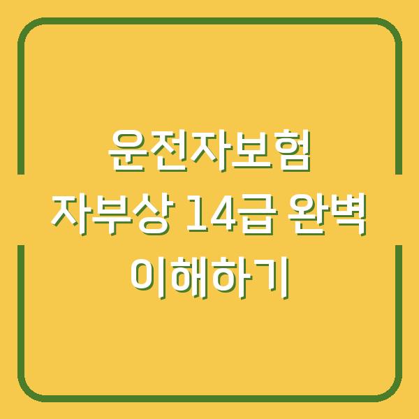 운전자보험 자부상 14급 완벽 이해하기