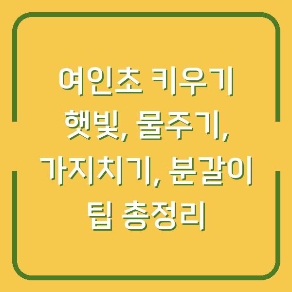 여인초 키우기 햇빛, 물주기, 가지치기, 분갈이 팁 총정리