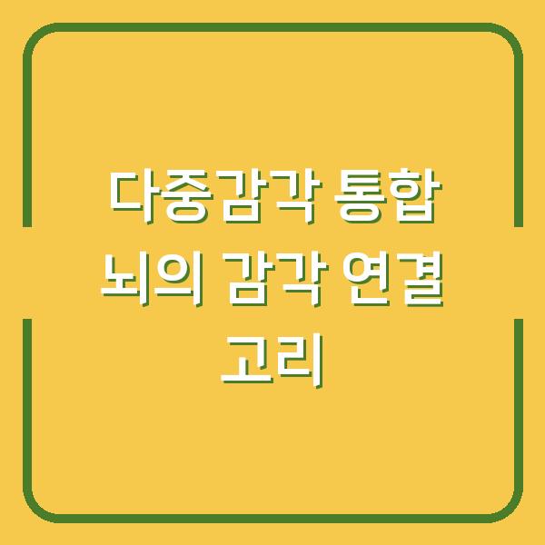 다중감각 통합 뇌의 감각 연결 고리