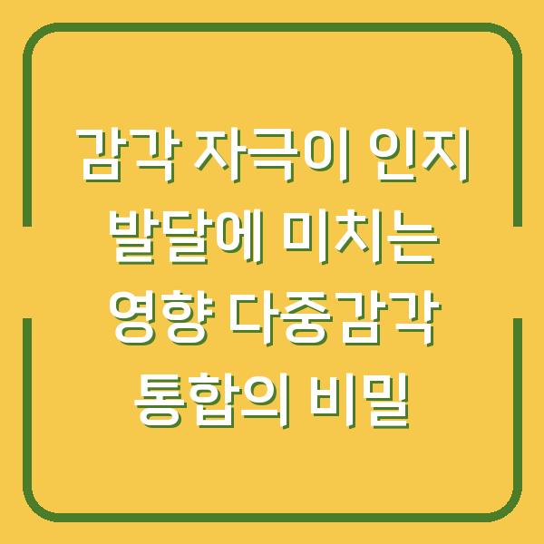 감각 자극이 인지 발달에 미치는 영향 다중감각 통합의 비밀