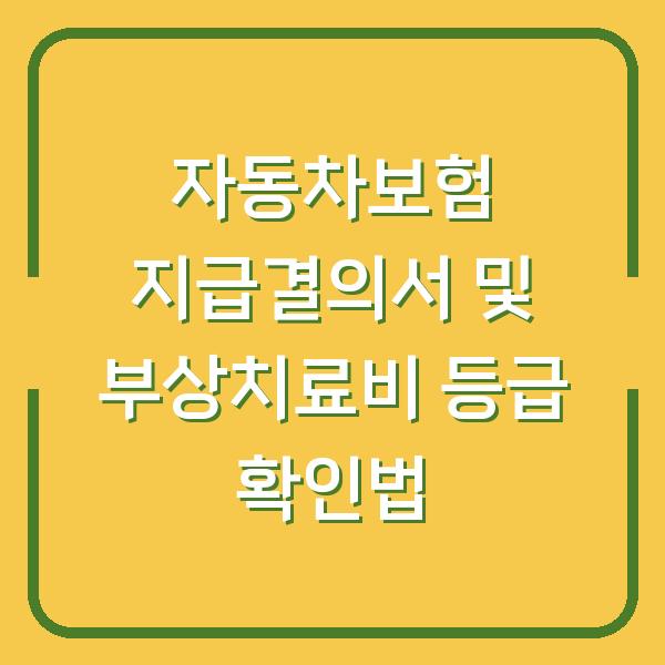 자동차보험 지급결의서 및 부상치료비 등급 확인법