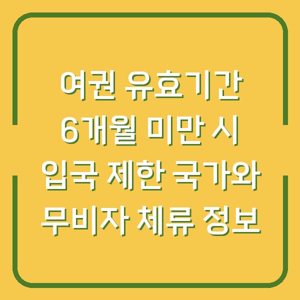 여권 유효기간 6개월 미만 시 입국 제한 국가와 무비자 체류 정보