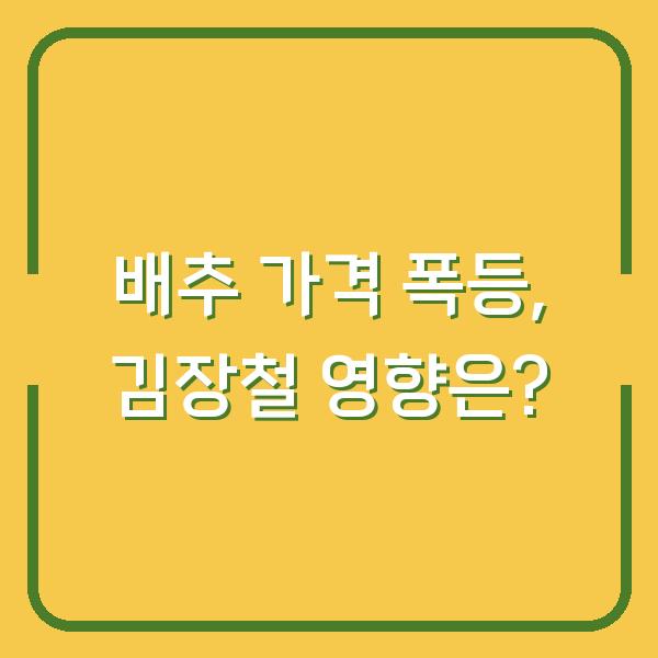 배추 가격 폭등, 김장철 영향은?