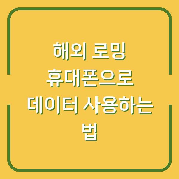 해외 로밍 휴대폰으로 데이터 사용하는 법