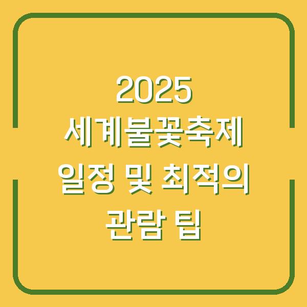2025 세계불꽃축제 일정 및 최적의 관람 팁